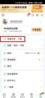 《爱奇艺极速版》观看历史清除指南