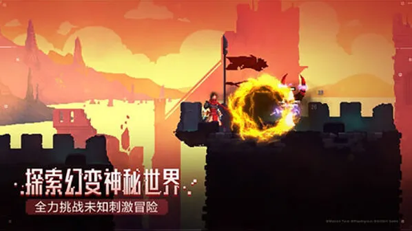 《庇护所》二细胞打法技巧分享