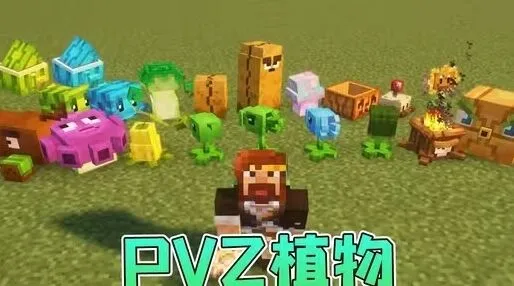 我的世界模组