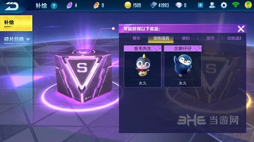 QQ飞车宠物