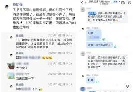 飞书视频播放
