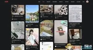 小红书网页版登录操作技巧
