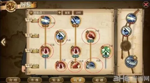 航海王卡古加点和技能选择详解