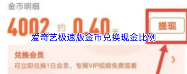 爱奇艺金币