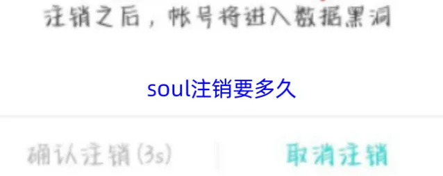 Soul注销