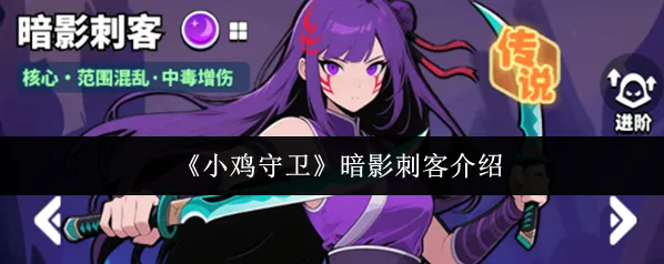 小鸡守卫相关攻略暗影刺客