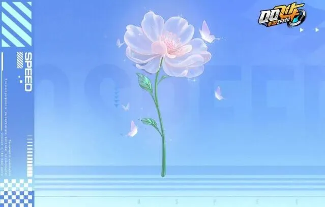 QQ飞车带走