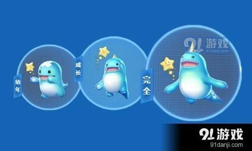 QQ飞车宠物雪域狮王小萌龙对比指南