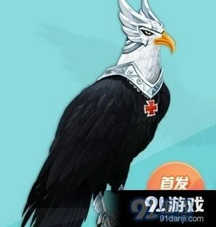QQ飞车手游苍冥神鸢强度解析攻略