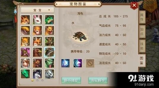 问道宠物天书搭配全攻略