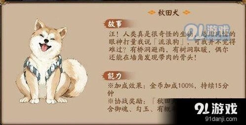 阴阳师秋田犬领养流程