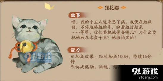 阴阳师后院狸花猫亲密度30点速刷
