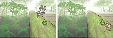 旅行青蛙北部行李玄学详细指南