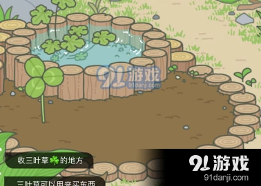 旅行青蛙三叶草获取技巧全攻略