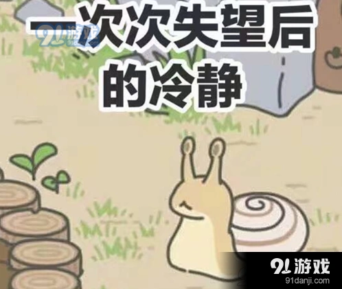 旅行青蛙出门很久不归 原因及应对措施