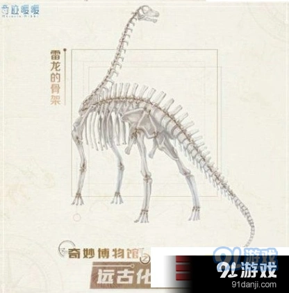 奇迹暖暖琥珀化石可拿哪些奖励