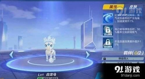 QQ飞车手游宠物对比：玉面狐和白龙马哪个强