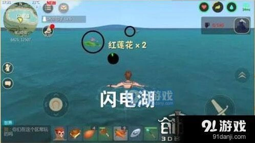 创造与魔法红蓝莲花位置分布一览