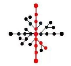 第五人格新版小丑天赋加点全攻略