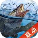 天天钓鱼官方最新版