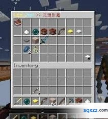 《我的世界》2025服务器类型详解，总有适合你的