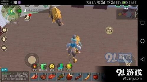 创造与魔法家园升级材料需求攻略