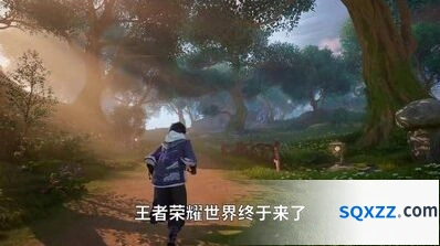王者荣耀世界菇相关内容攻略