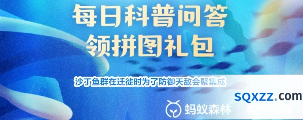 沙丁鱼群在迁徙时为了防御天敌会聚集成