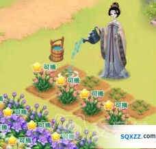 我的花园世界送花技巧分享