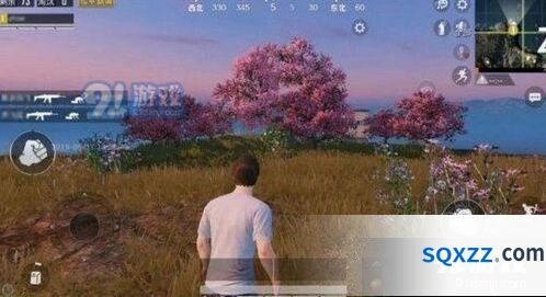 和平精英七夕合照攻略分享