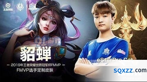 王者荣耀2019世界冠军杯FMVP皮肤介绍