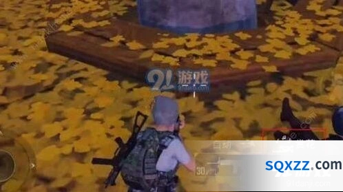 和平精英中秋月兔模式赏花指南分享