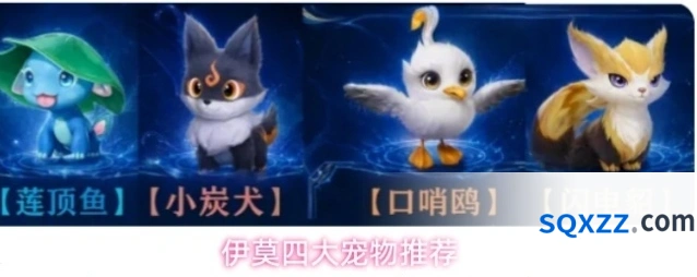 伊莫四大宠物推荐