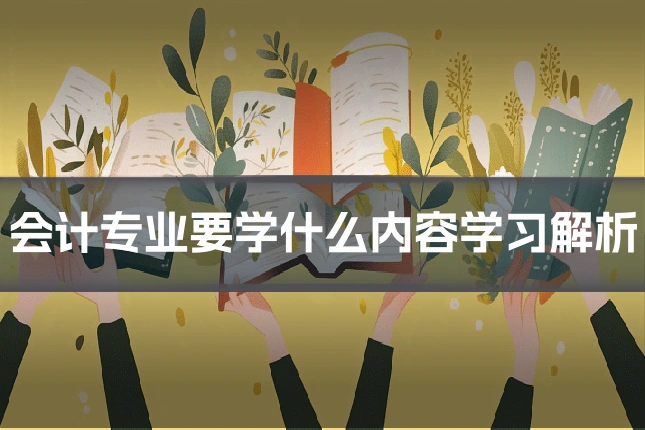 会计专业要学什么内容学习解析