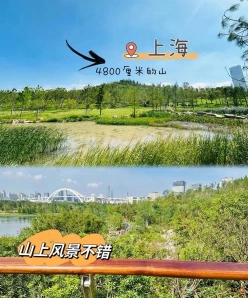 上海财经大学