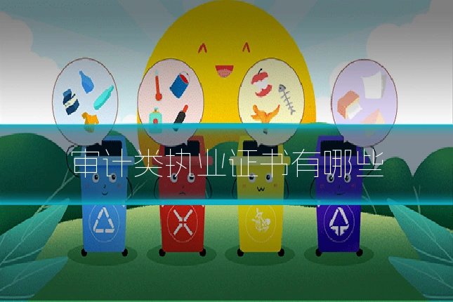 审计类执业证书有哪些
