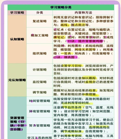 学习策略