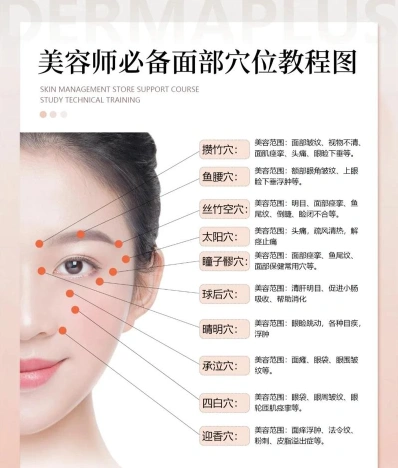 学习美容