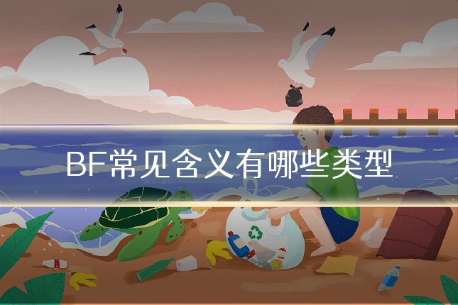 BF常见含义有哪些类型