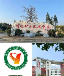 高职院校