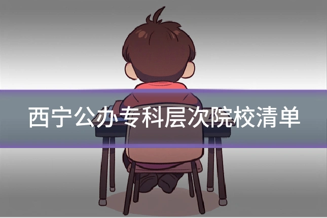 西宁公办专科层次院校清单