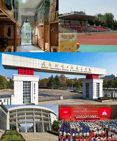 高职院校