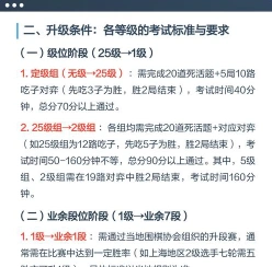 业余段位