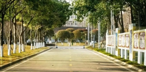公办院校