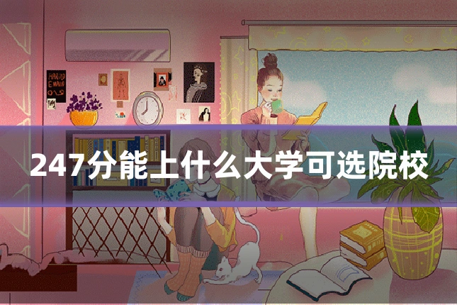 247分能上什么大学可选院校