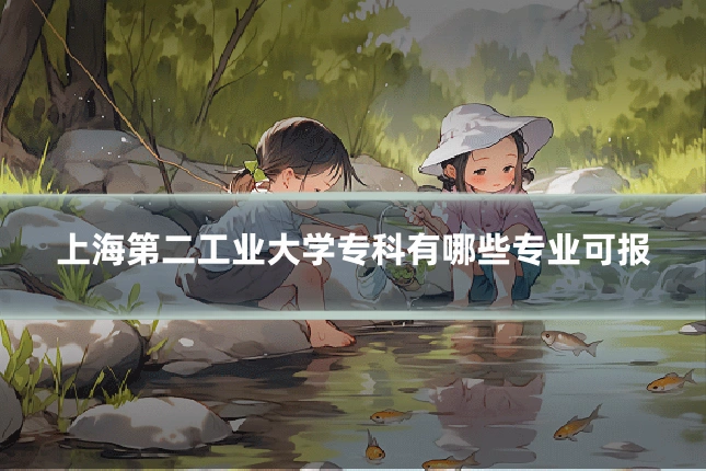 上海第二工业大学专科有哪些专业可报