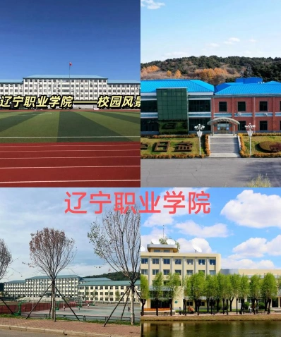 辽宁职业学院