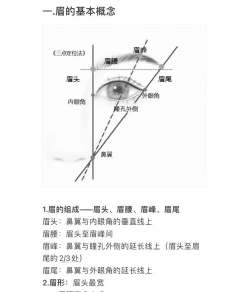 学习纹眉