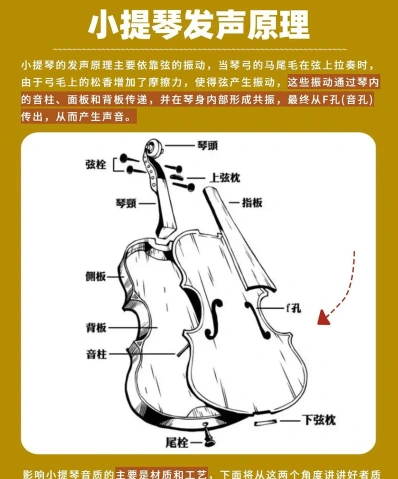 初学选琴