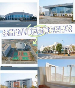 公办院校